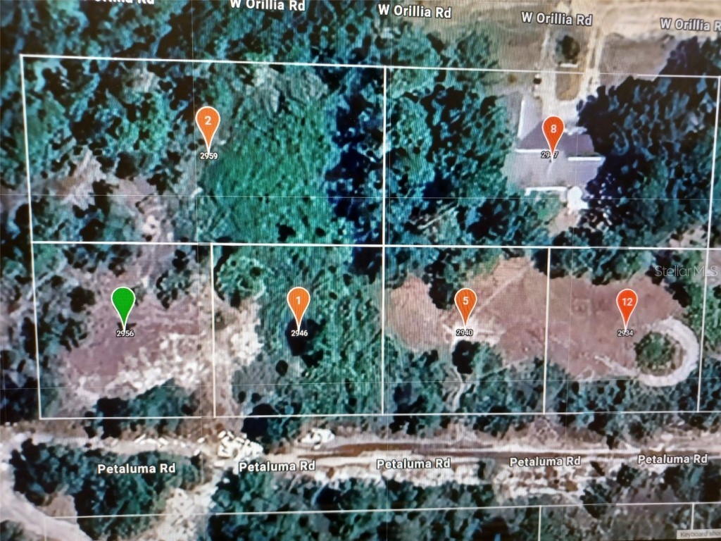 2956 W Petaluma Road Avon Park FL 33825 O6244750 image1