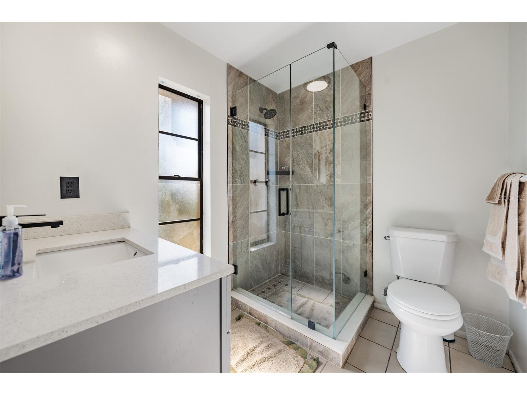 2957 Glen Haven Drive Palm Harbor FL 34684 TB8510630 image16