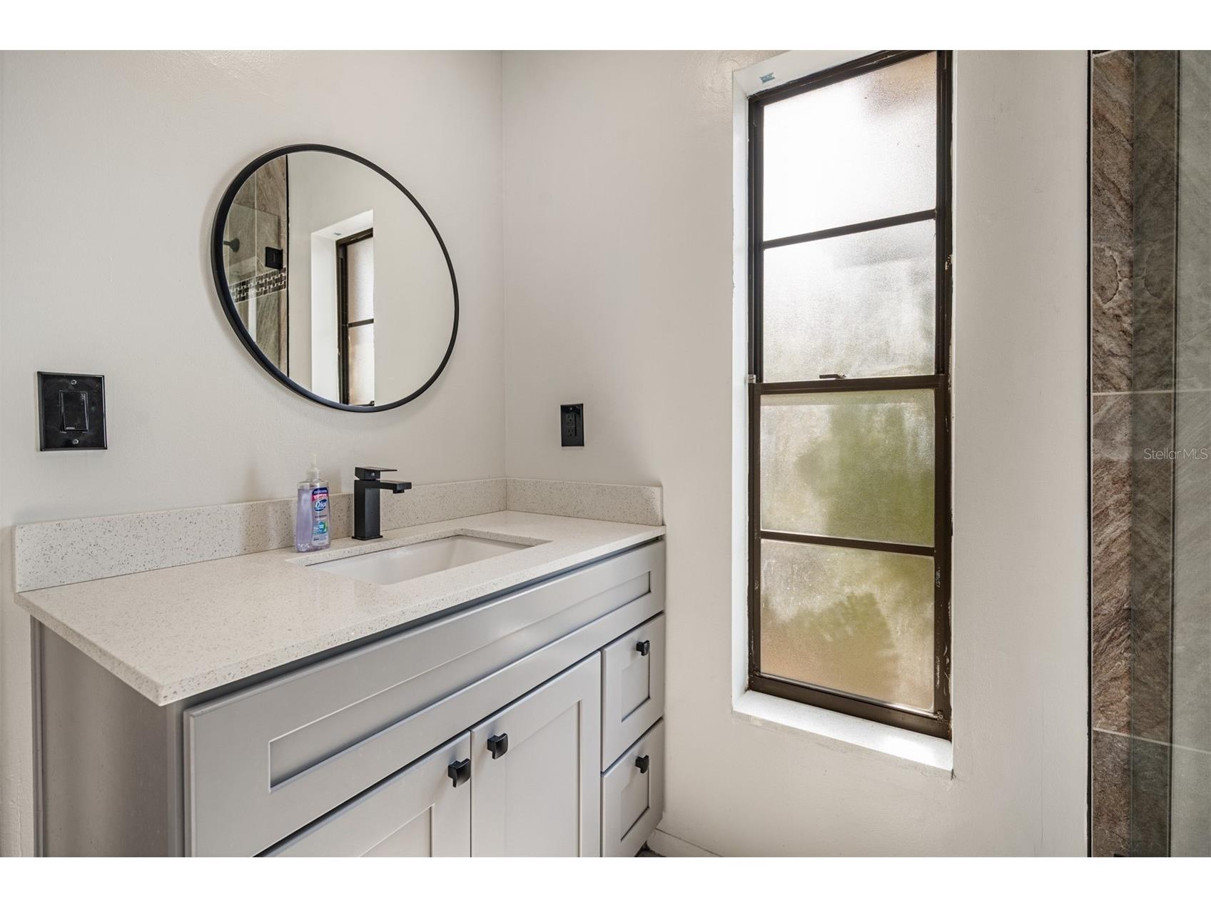 2957 Glen Haven Drive Palm Harbor FL 34684 TB8510630 image17