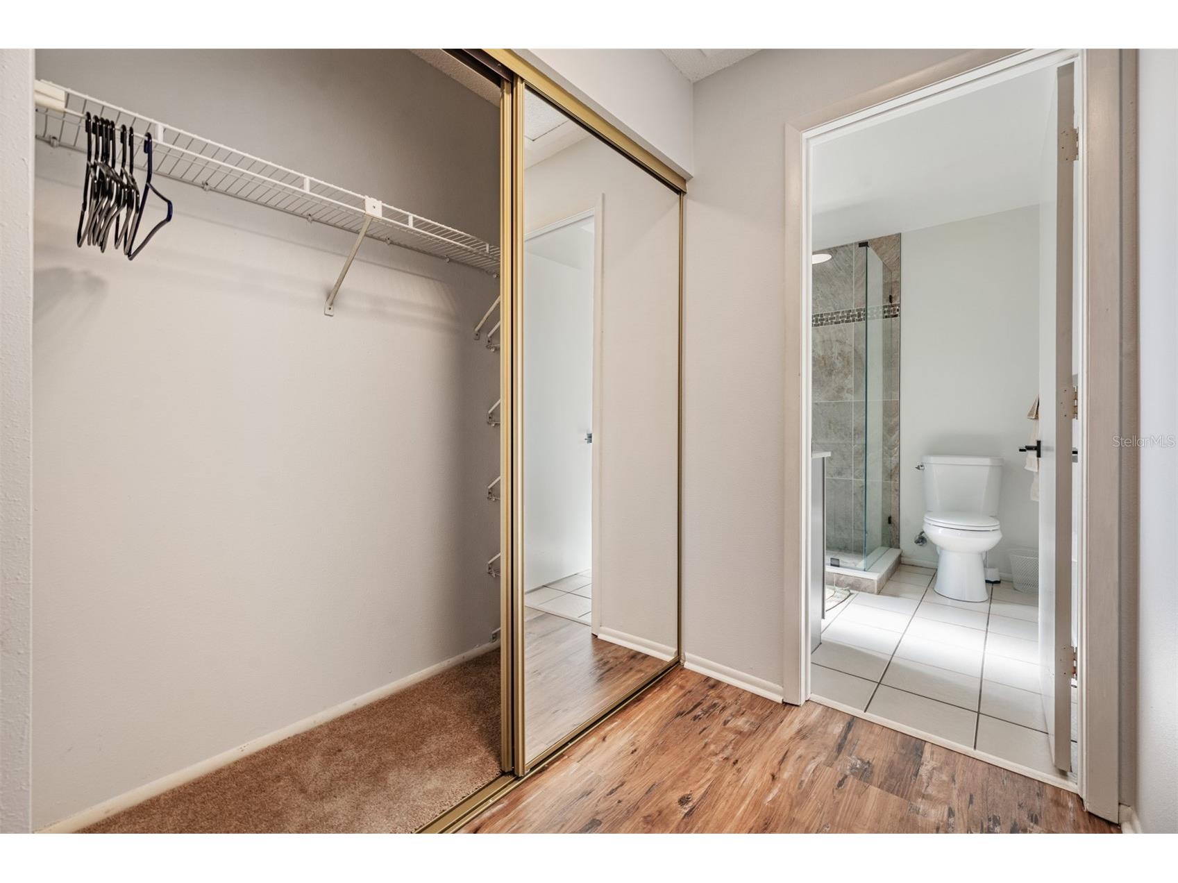 2957 Glen Haven Drive Palm Harbor FL 34684 TB8510630 image18