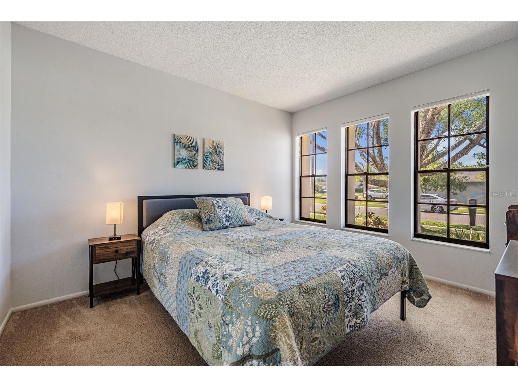 2957 Glen Haven Drive Palm Harbor FL 34684 TB8510630 image19