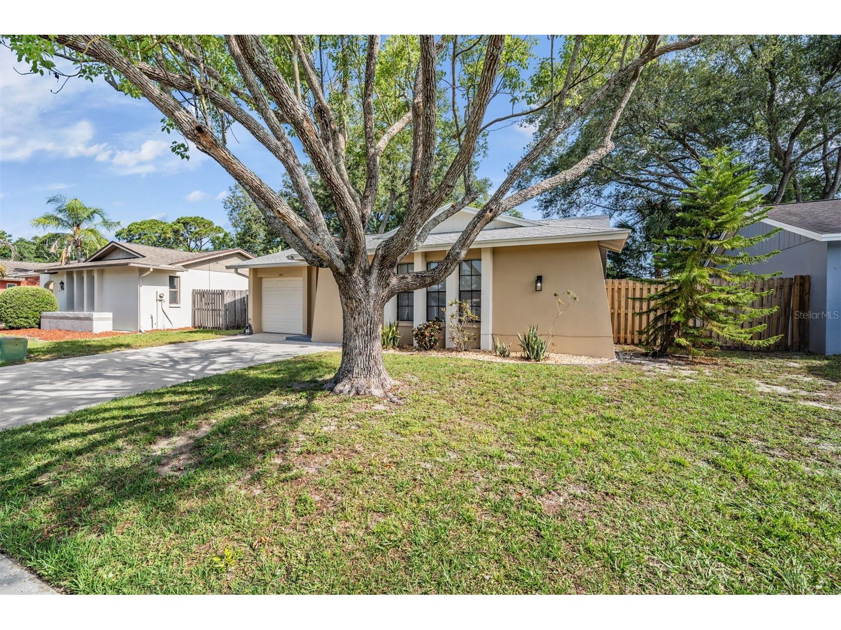 2957 Glen Haven Drive Palm Harbor FL 34684 TB8510630 image27