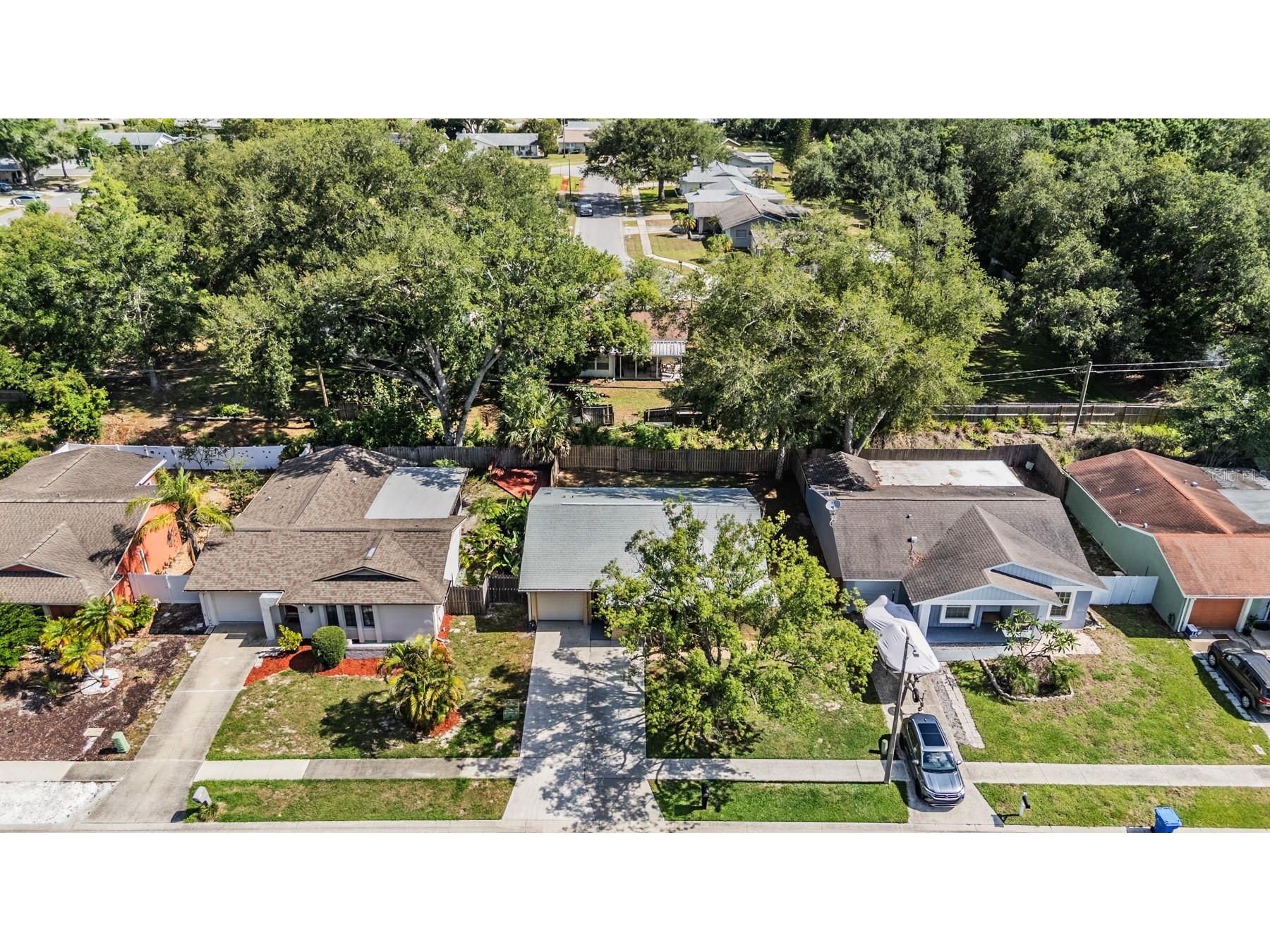 2957 Glen Haven Drive Palm Harbor FL 34684 TB8510630 image33