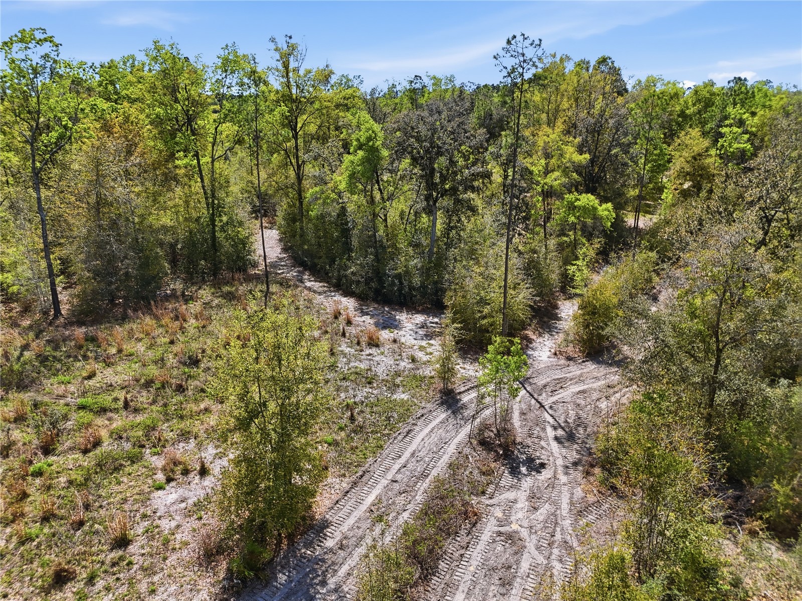 29578 SW 63rd Avenue Newberry FL 32669 GC538908 image40