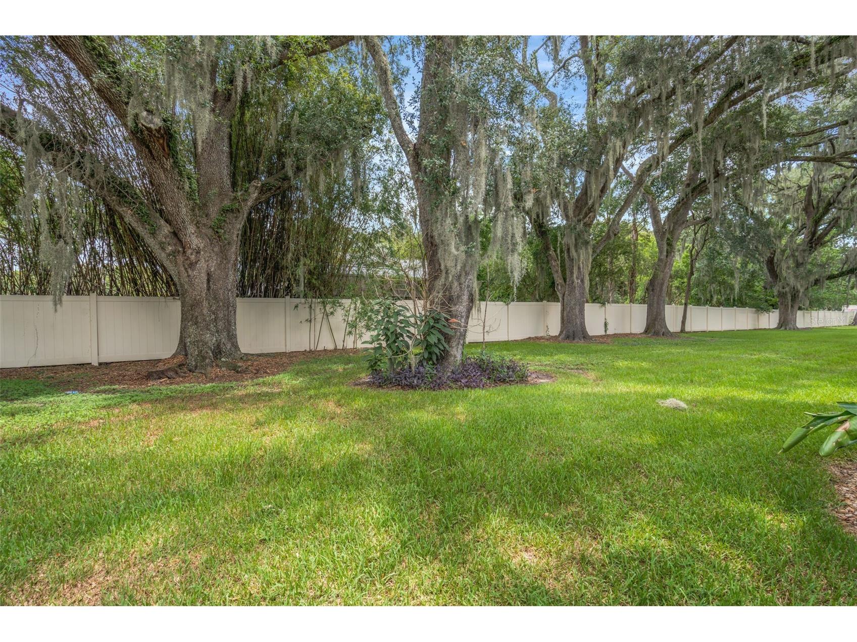 2958 Royal Tuscan Lane Valrico FL 33594 TB8523293 image6