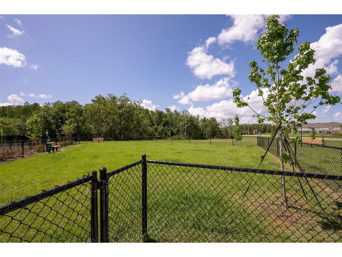 2958 Skyline Loop Kissimmee FL 34758 O6352161 image28