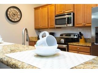 2959 Banana Palm Drive Kissimmee FL 34747 G5112991 image10
