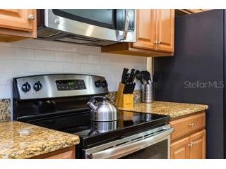 2959 Banana Palm Drive Kissimmee FL 34747 G5112991 image13