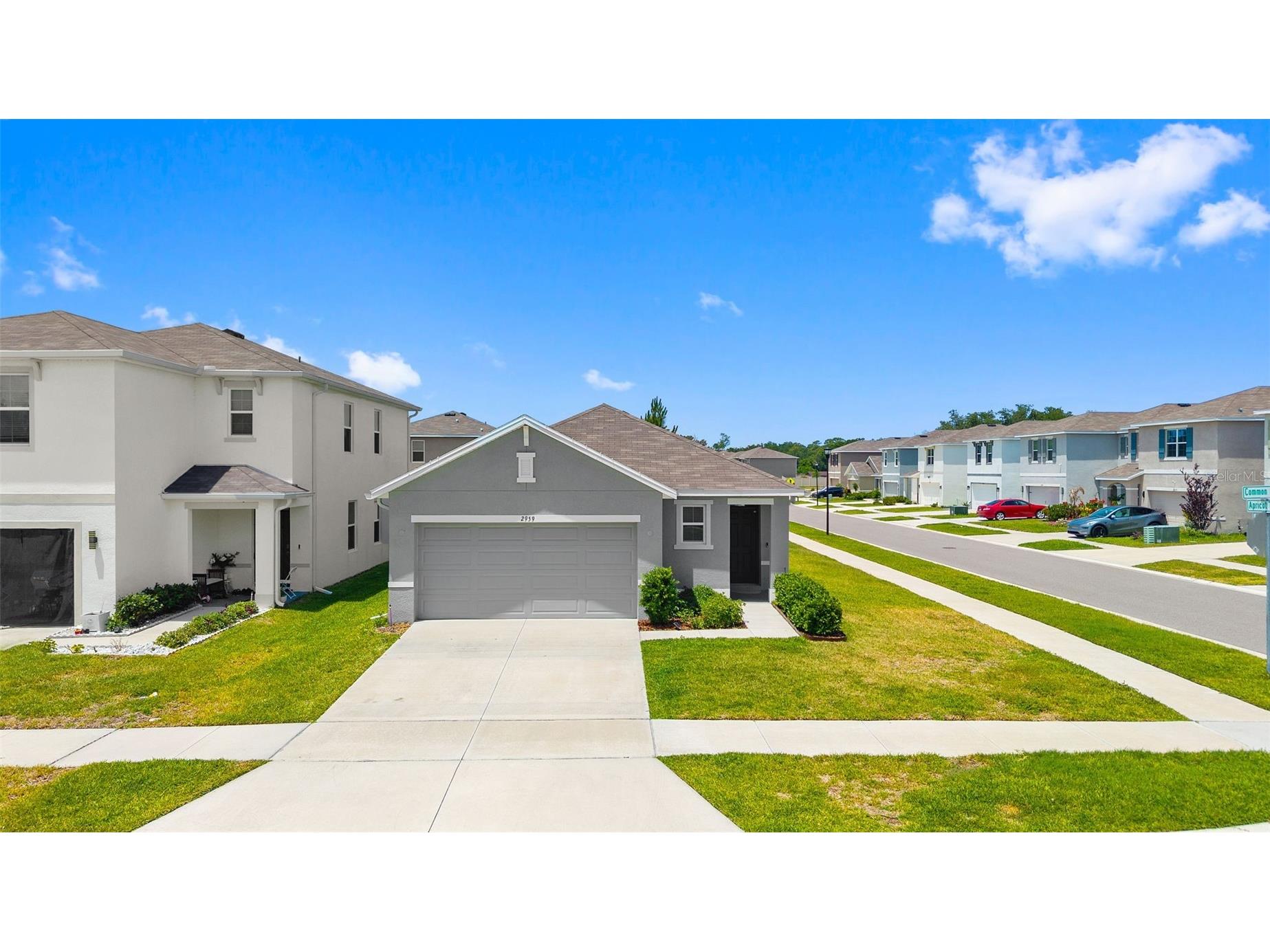 2959 Common Fig Run Wesley Chapel FL 33543 TB8505922 image2