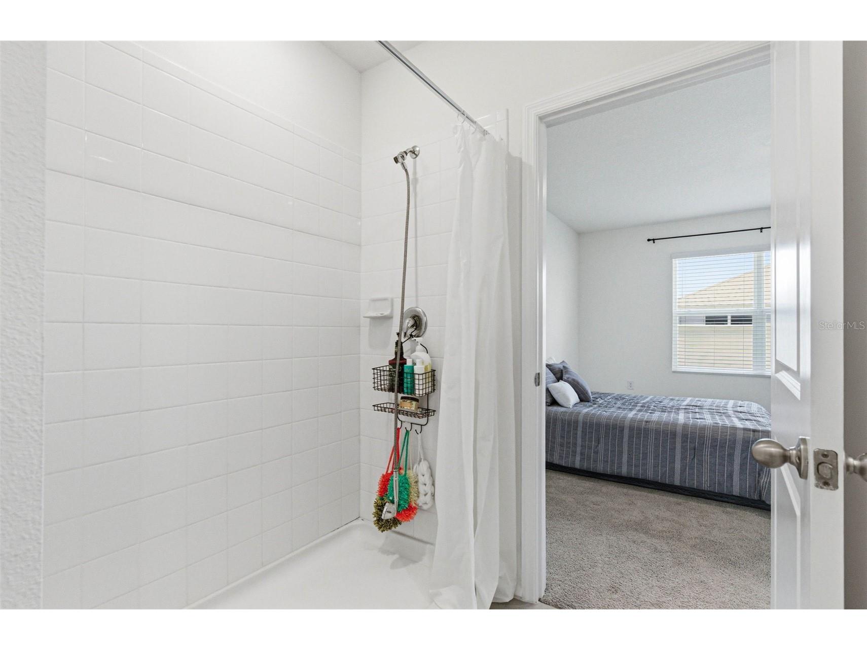 2959 Common Fig Run Wesley Chapel FL 33543 TB8505922 image24