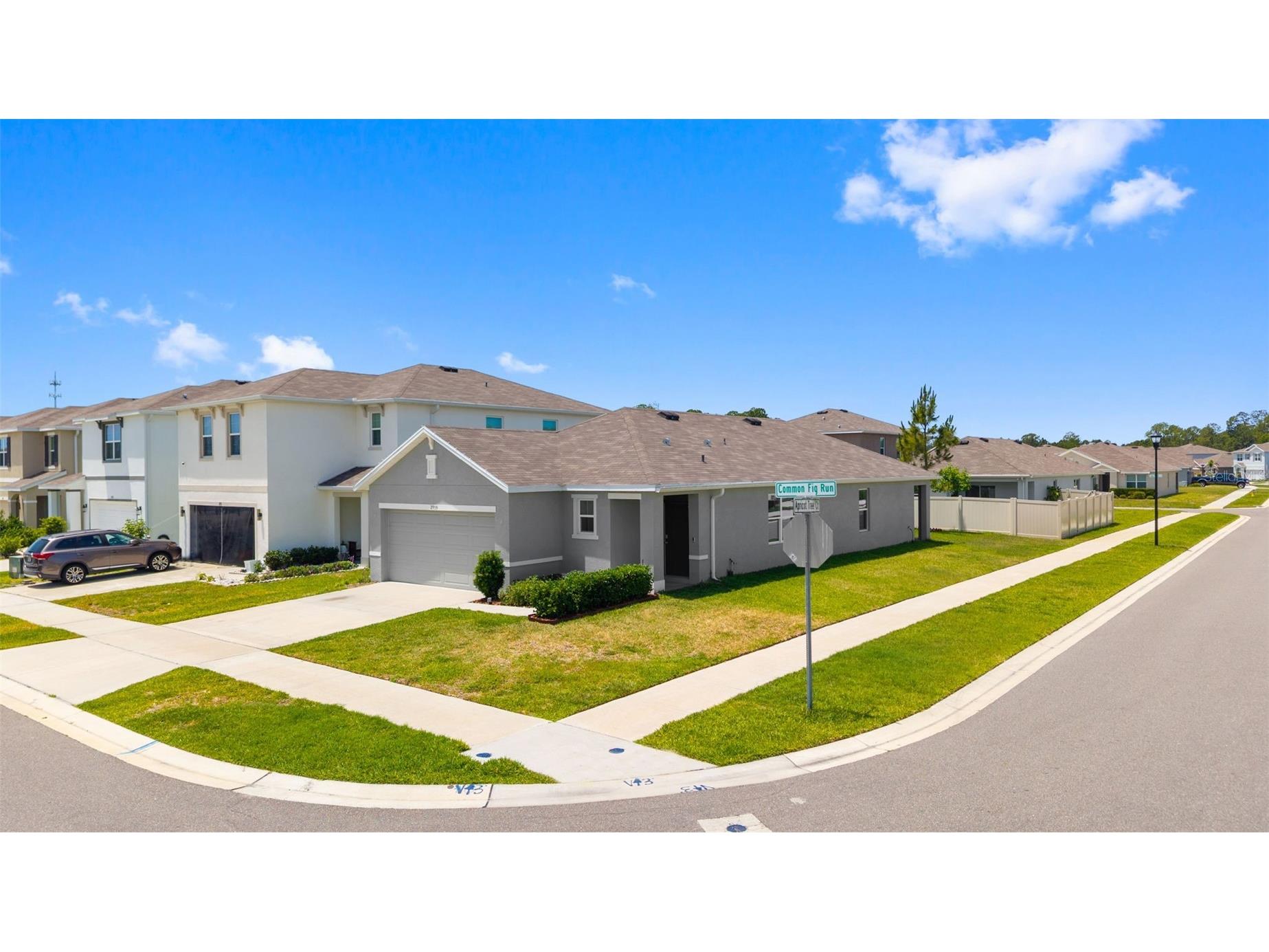 2959 Common Fig Run Wesley Chapel FL 33543 TB8505922 image28