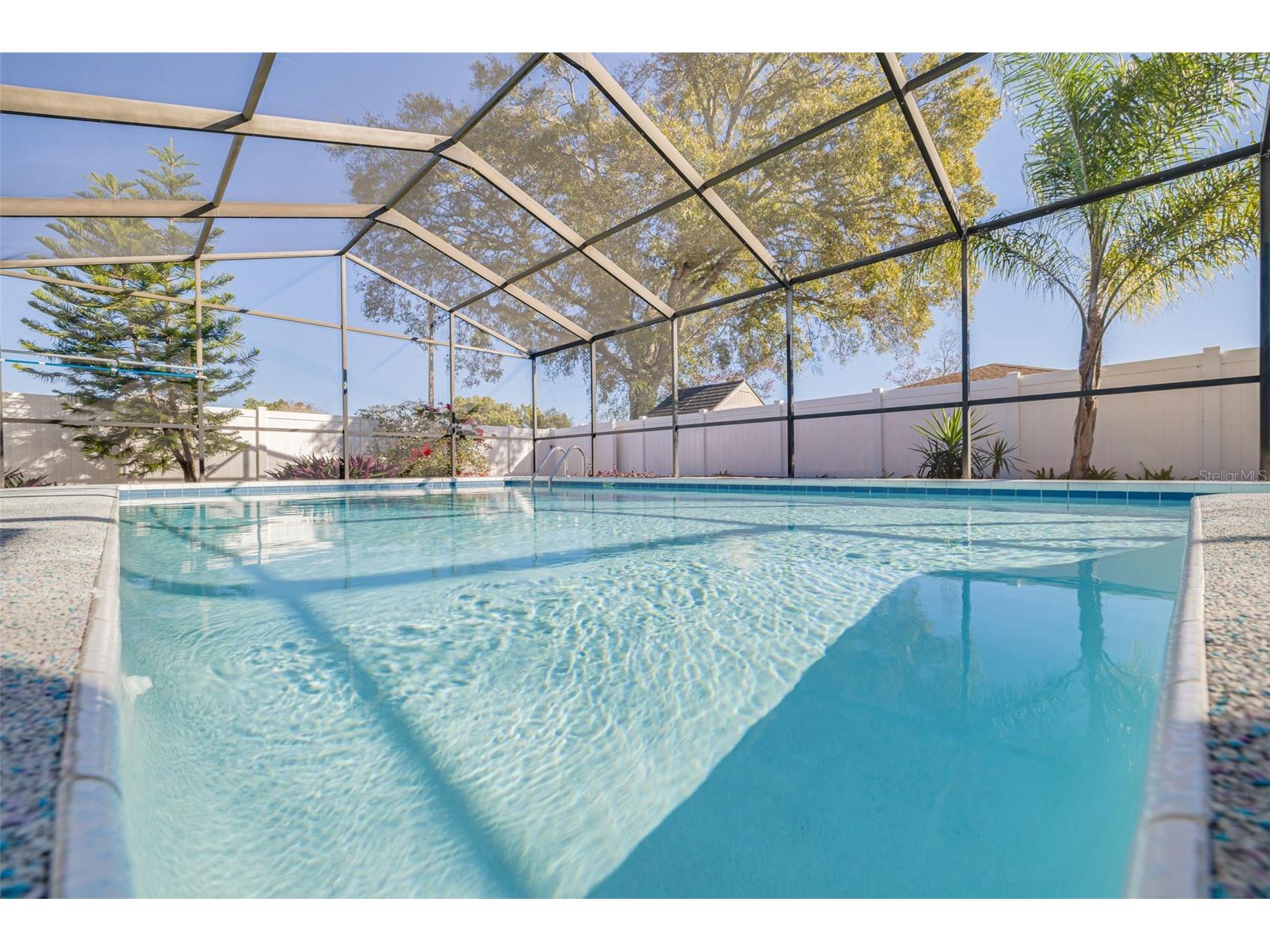 2959 Hickory Court Dunedin FL 34698 TB8465522 image26