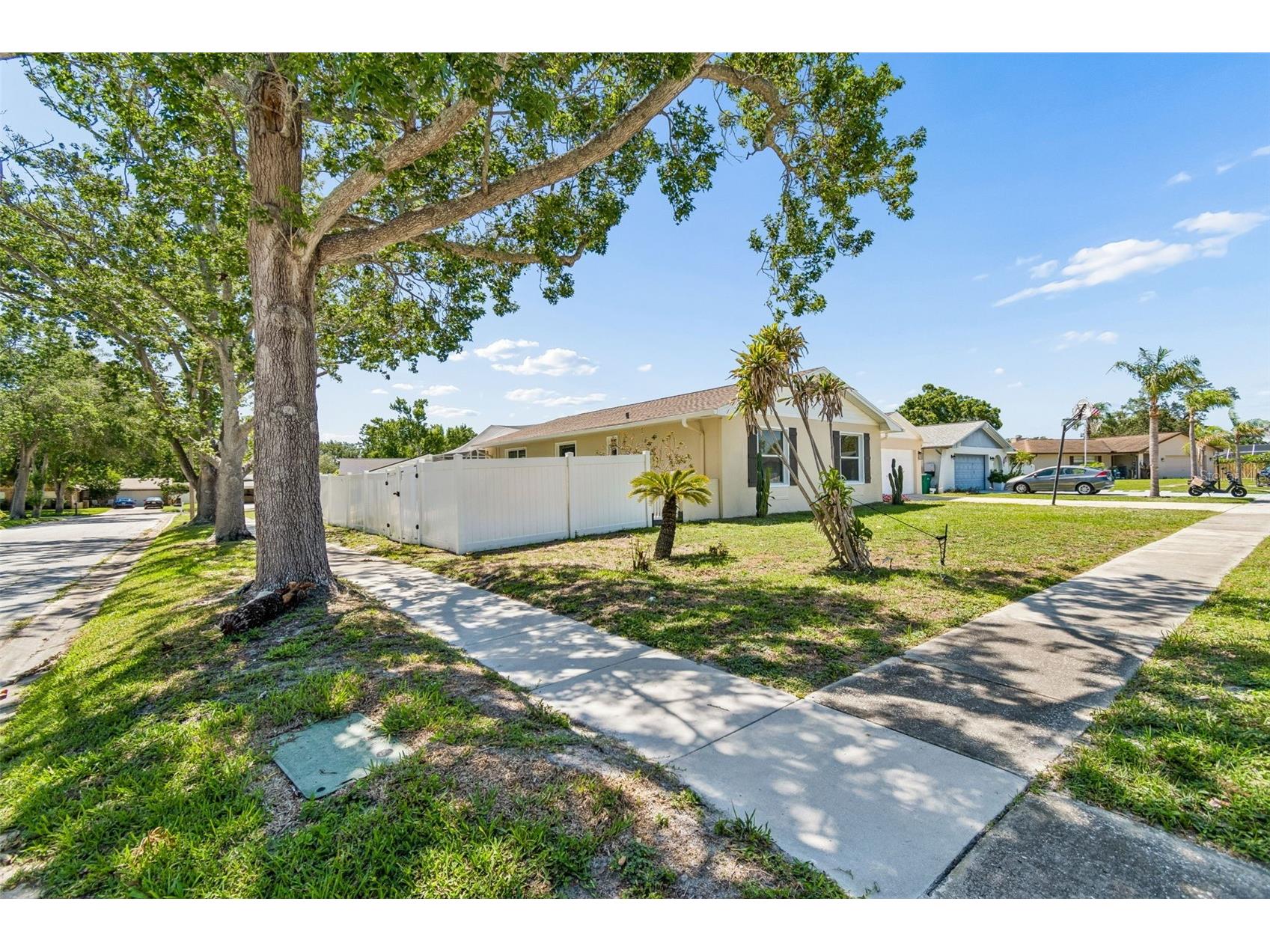 2959 Maple Court Dunedin FL 34698 TB8516134 image15