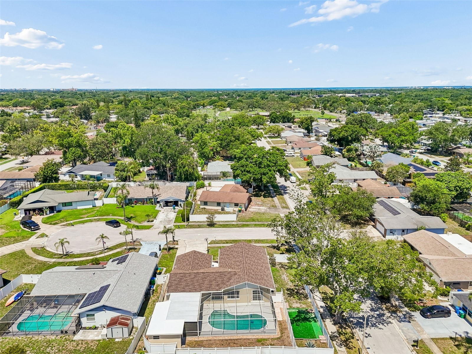 2959 Maple Court Dunedin FL 34698 TB8516134 image3