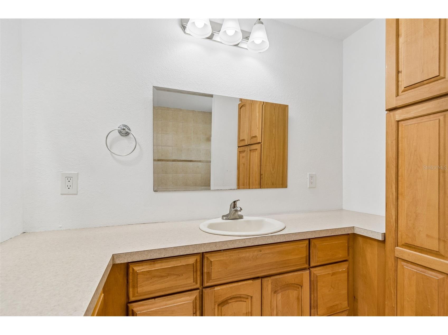 2959 Maple Court Dunedin FL 34698 TB8516134 image33
