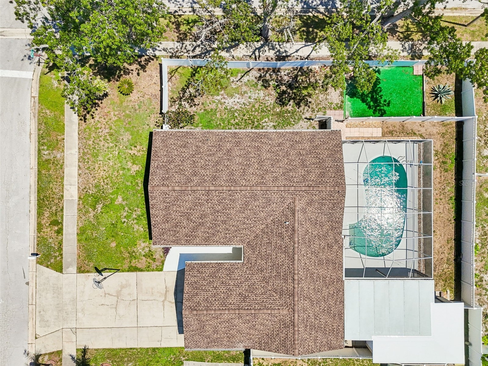 2959 Maple Court Dunedin FL 34698 TB8516134 image4