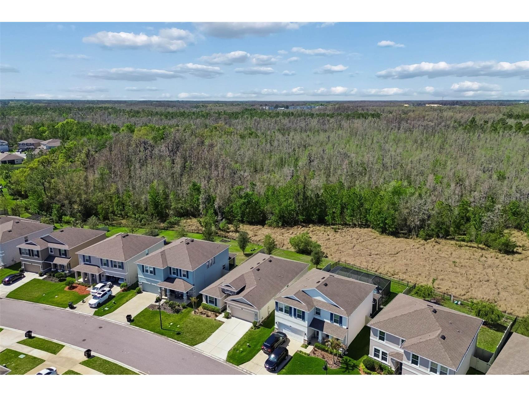 2959 Storybrook Preserve Drive Odessa FL 33556 TB8486046 image46