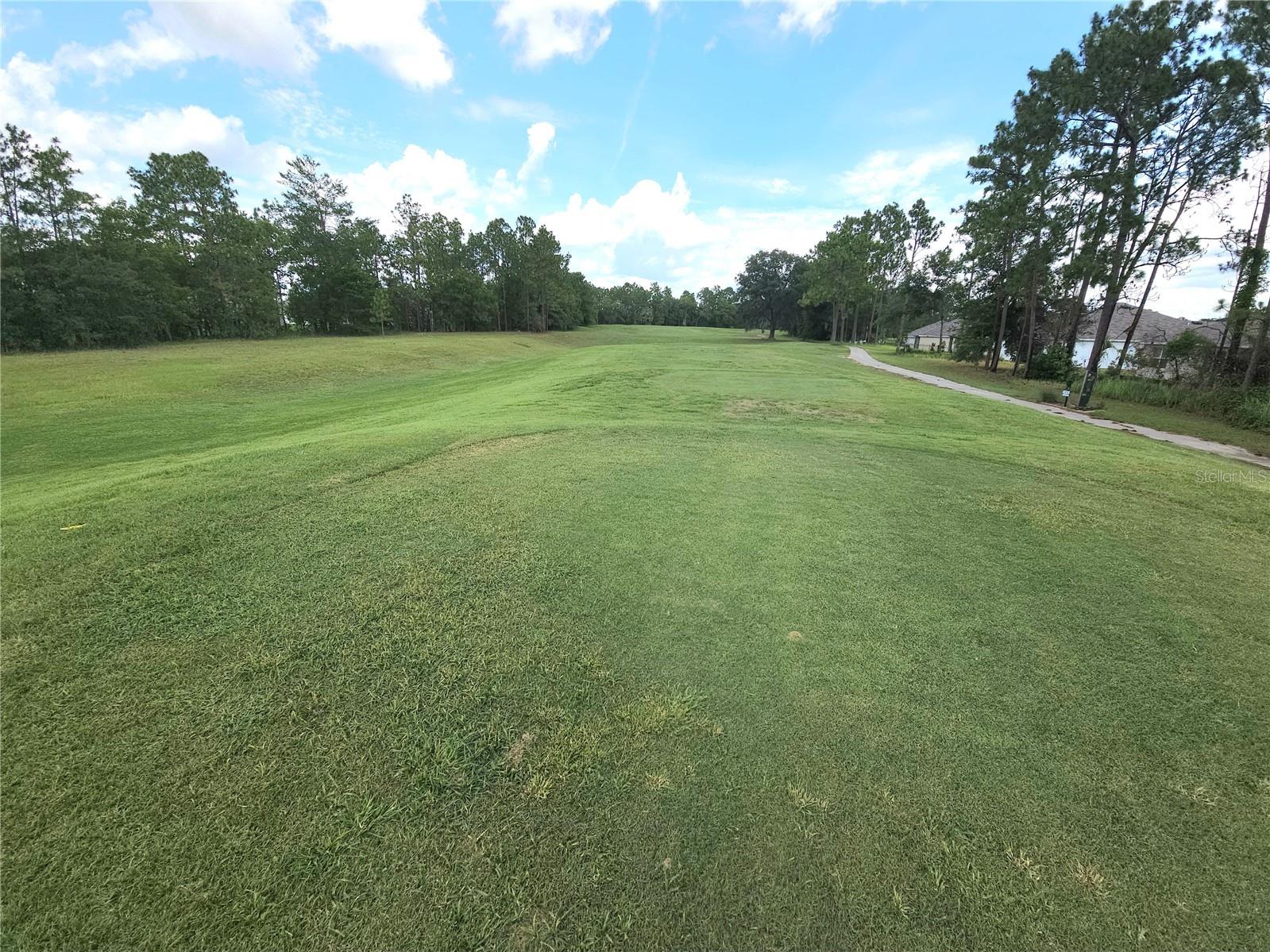 296 Hickory Course Trail Ocala FL 34472 O6423359 image16