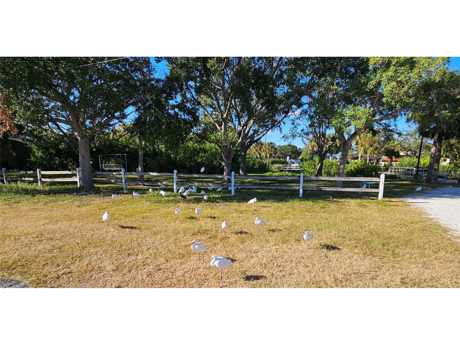 2960 59th Street S #202 Gulfport FL 33707 - BOCA CIEGA BAY TB8443752 image40