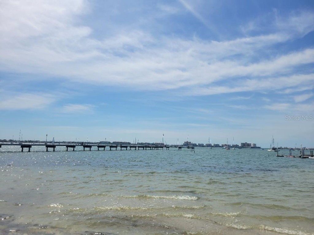 2960 59th Street S #505 Gulfport FL 33707 TB8422787 image43