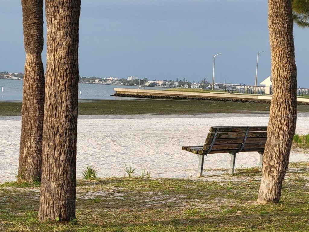 2960 59th Street S #505 Gulfport FL 33707 TB8422787 image45