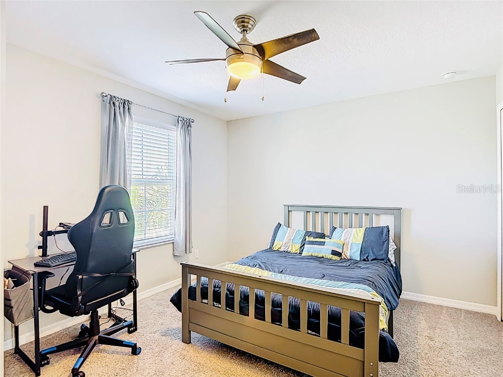 2960 Autumn Rock Drive Zephyrhills FL 33540 TB8426082 image32