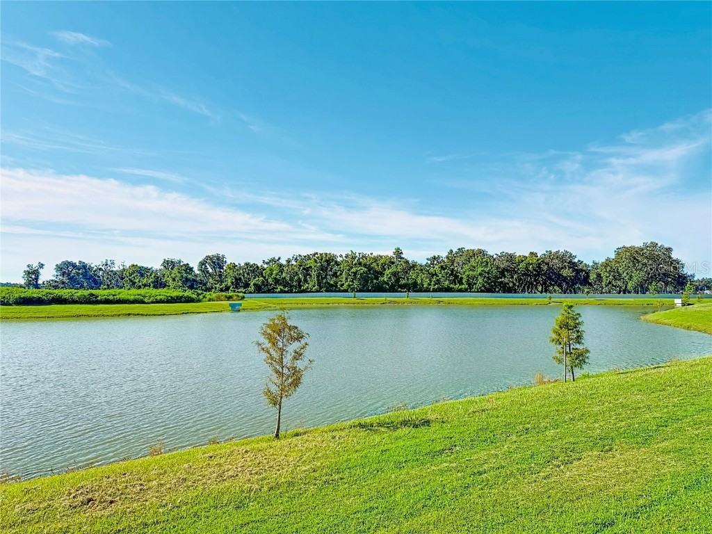 2960 Autumn Rock Drive Zephyrhills FL 33540 TB8426082 image42