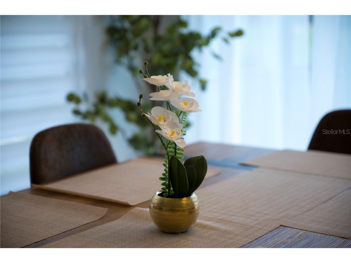 2960 Kokomo Loop Haines City FL 33844 P4937134 image14