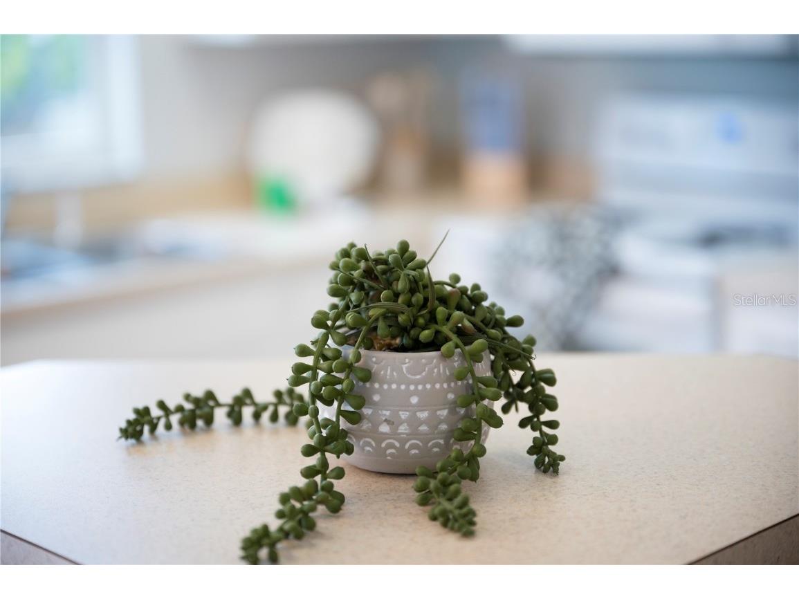 2960 Kokomo Loop Haines City FL 33844 P4937134 image15