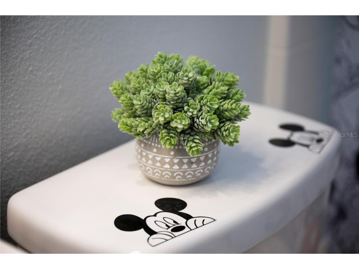 2960 Kokomo Loop Haines City FL 33844 P4937134 image28