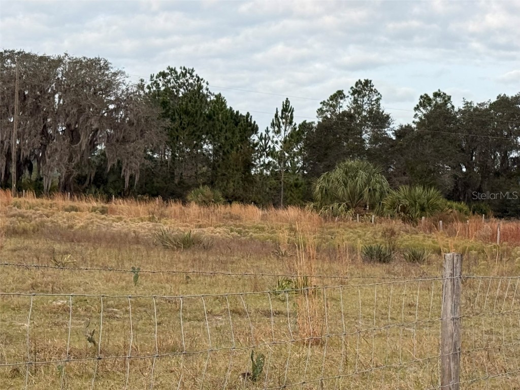 29605 Fullerville Road Deland FL 32720 V4946393 image19