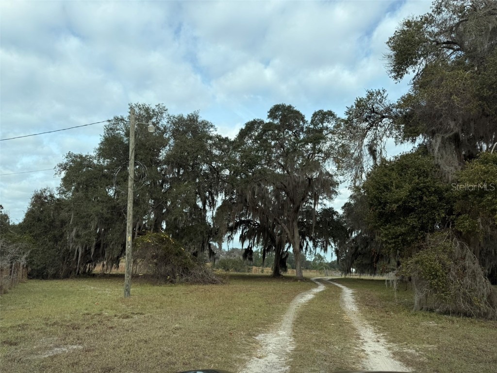 29605 Fullerville Road Deland FL 32720 V4946393 image2