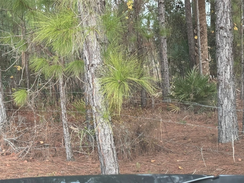 29605 Fullerville Road Deland FL 32720 V4946393 image21