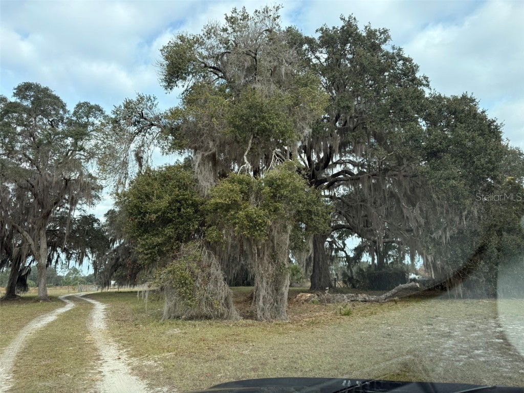 29605 Fullerville Road Deland FL 32720 V4946393 image3