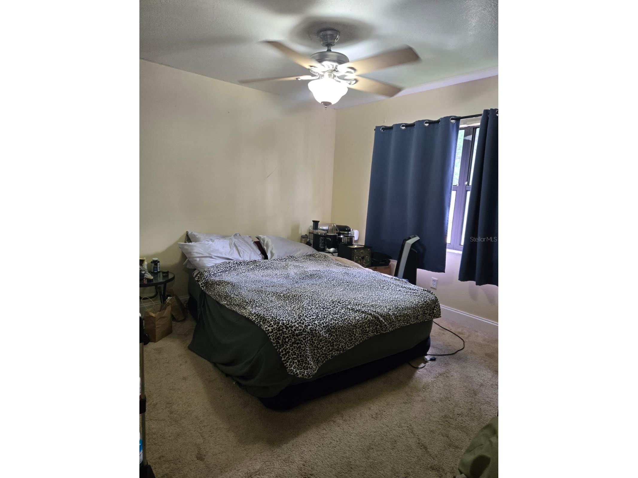 2961 Big Sky Boulevard Kissimmee FL 34744 S5147103 image9