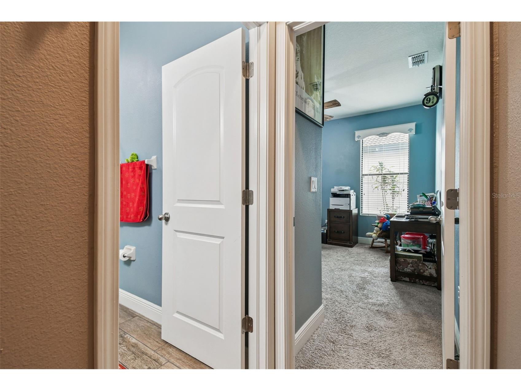 2961 Calvano Drive Land O Lakes FL 34639 TB8449894 image25