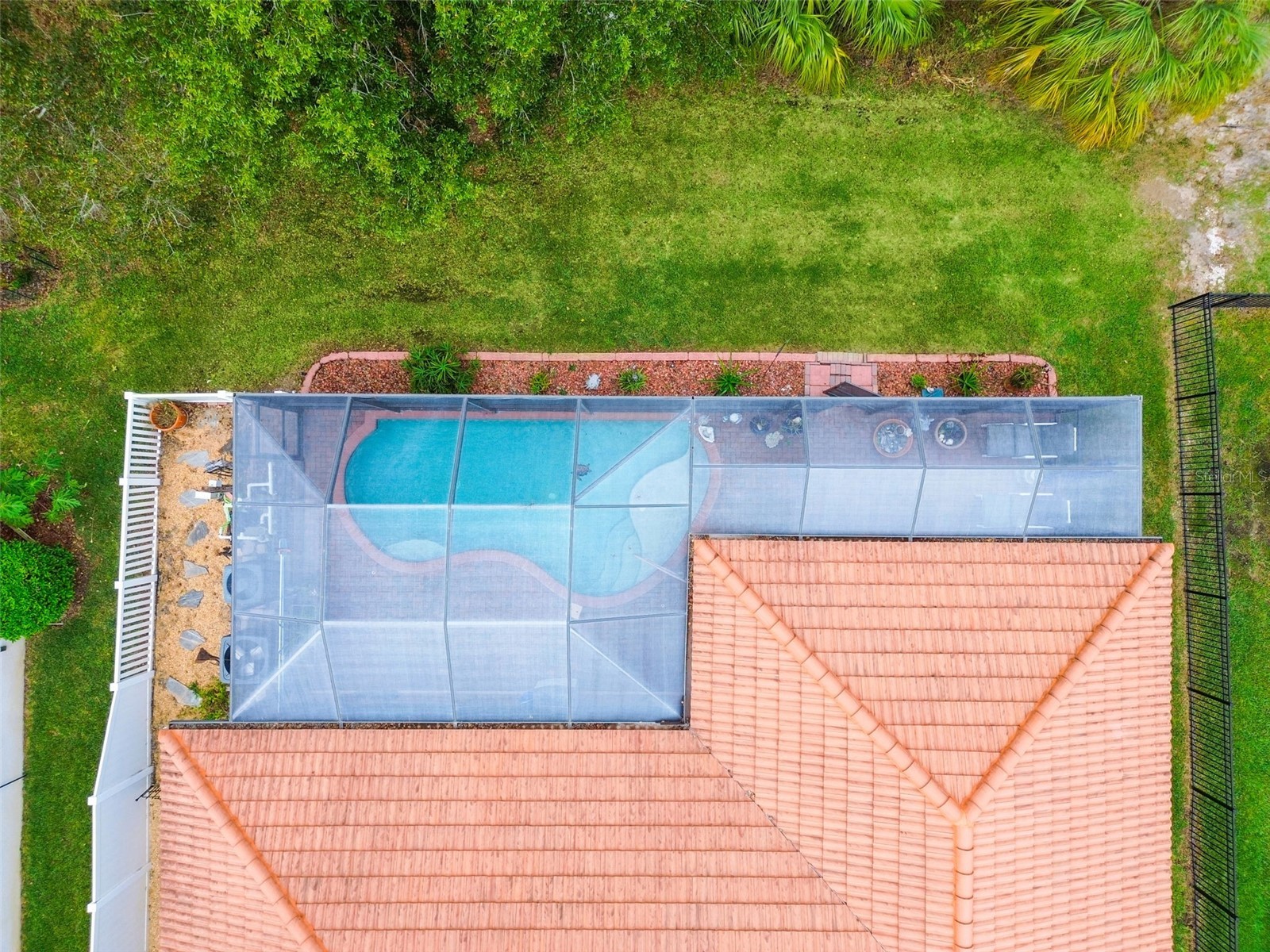 2961 Calvano Drive Land O Lakes FL 34639 TB8449894 image35