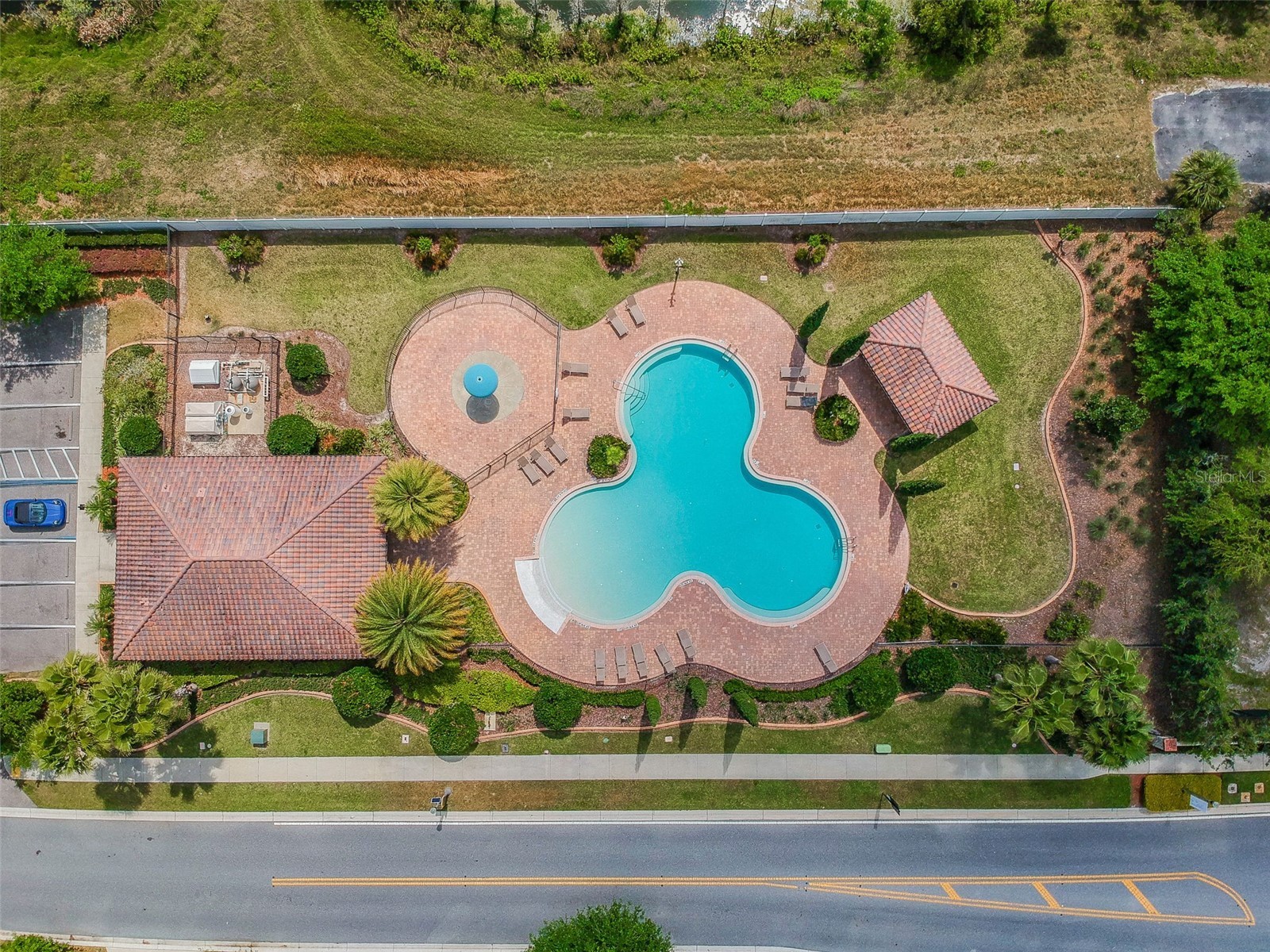 2961 Calvano Drive Land O Lakes FL 34639 TB8449894 image39