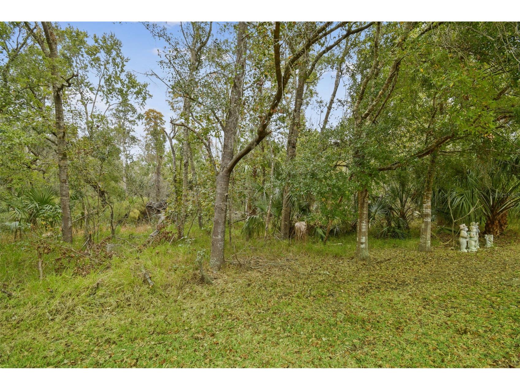 2961 Calvano Drive Land O Lakes FL 34639 TB8449894 image9