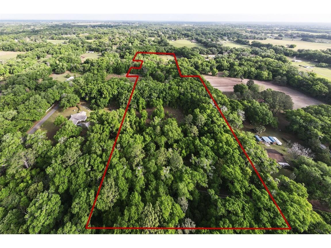 2961 NE 90th Street Anthony FL 32617 T3502637 image1