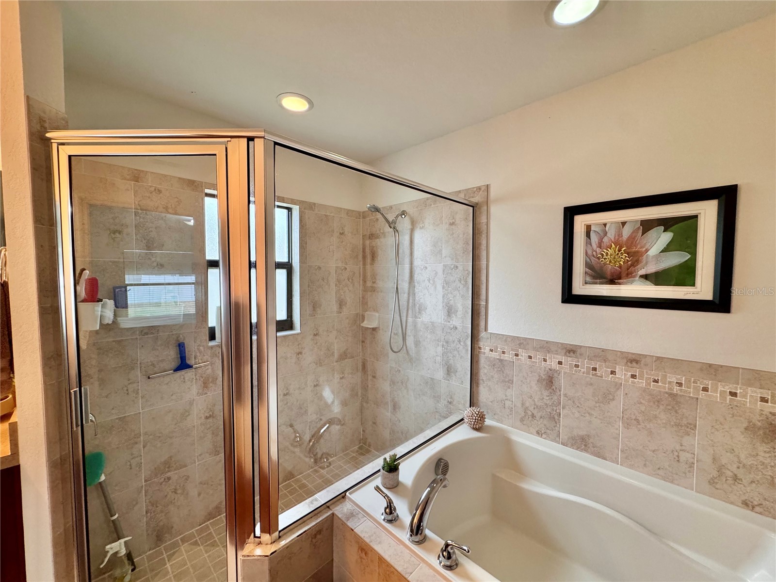 2962 Creeks Crossing Boulevard Lakeland FL 33810 TB8470787 image20