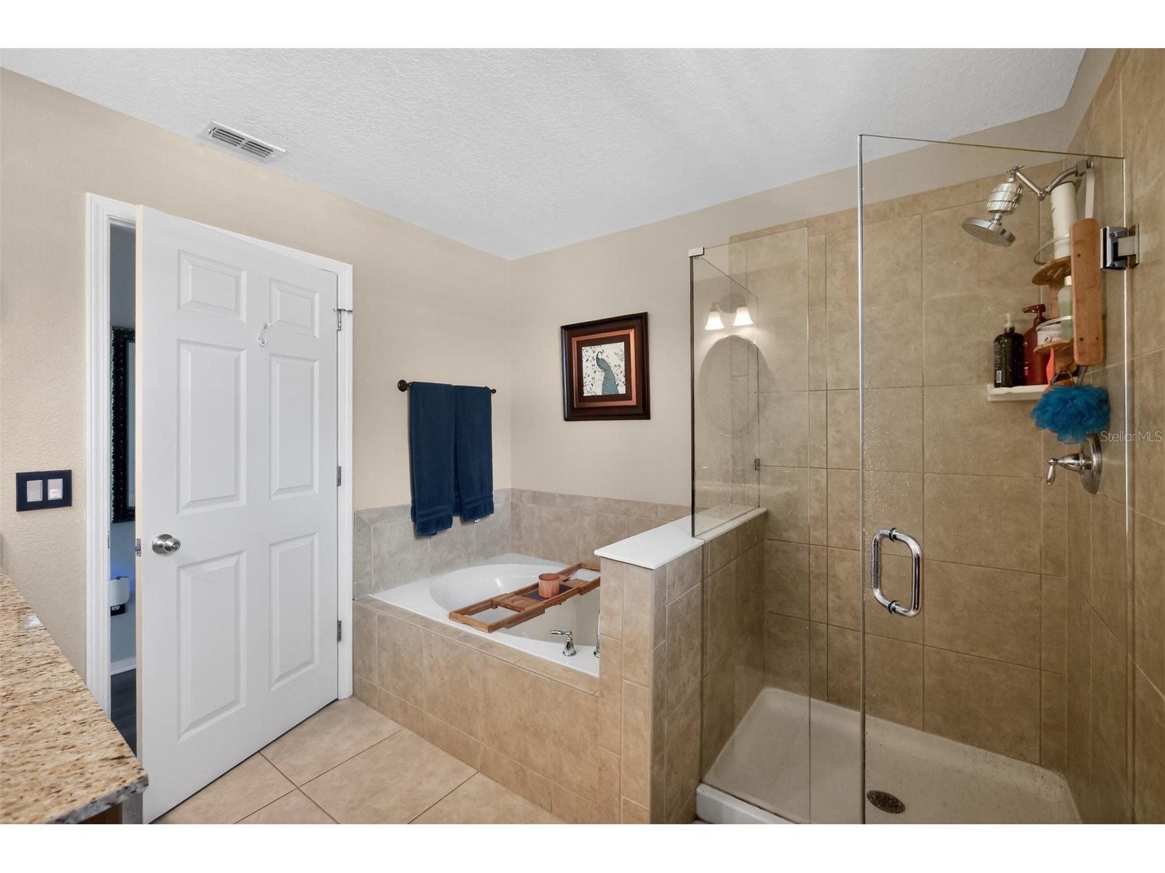 2962 Inca Avenue Clermont FL 34715 O6410271 image18