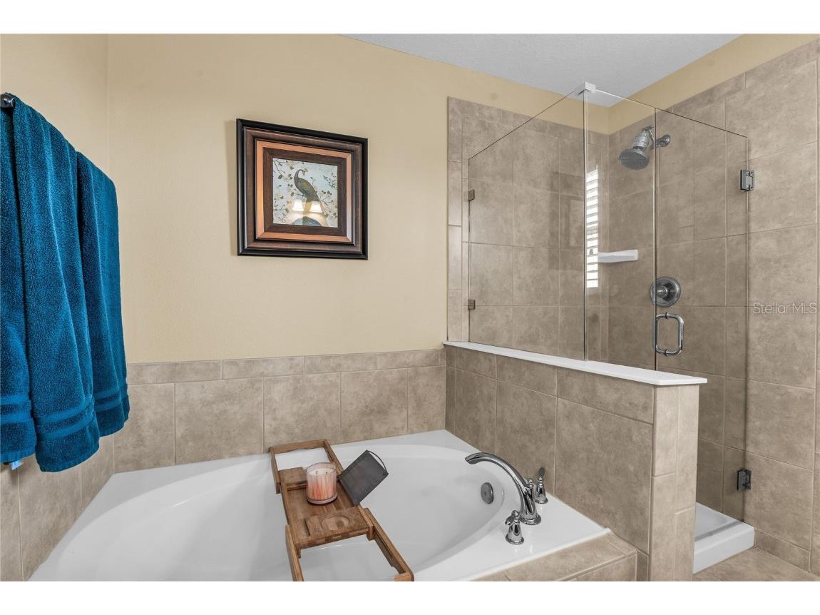 2962 Inca Avenue Clermont FL 34715 S5138071 image29