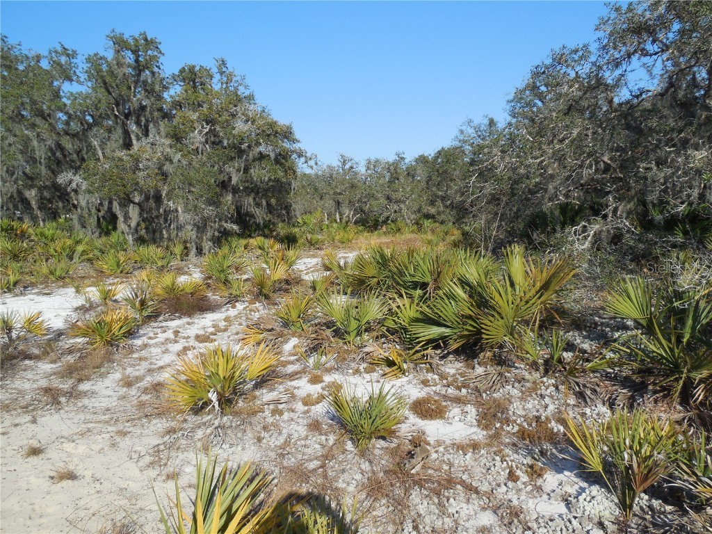 2962 N Nepera Road Avon Park FL 33825 C7470645 image1