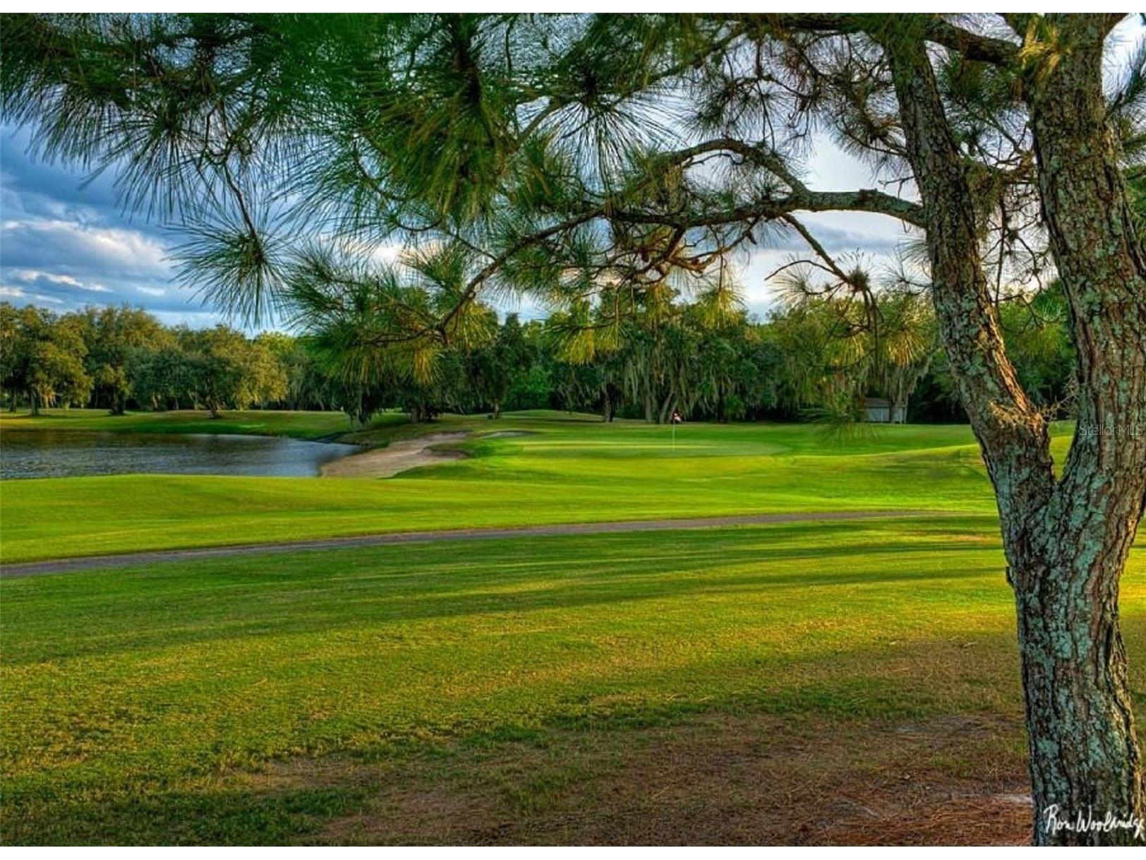 2962 Wilderness Boulevard E Parrish FL 34219 A4676871 image54