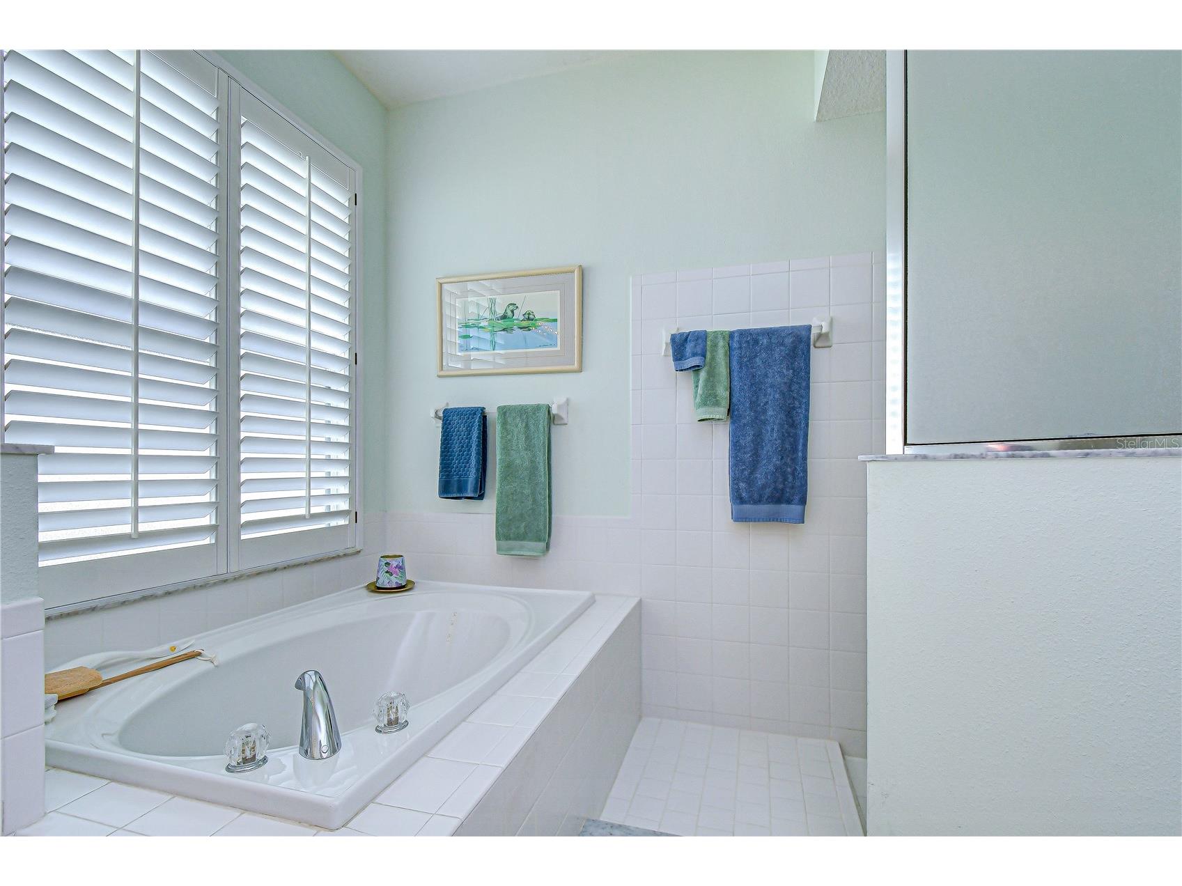 2963 Hickory Grove Drive Valrico FL 33596 TB8483751 image19