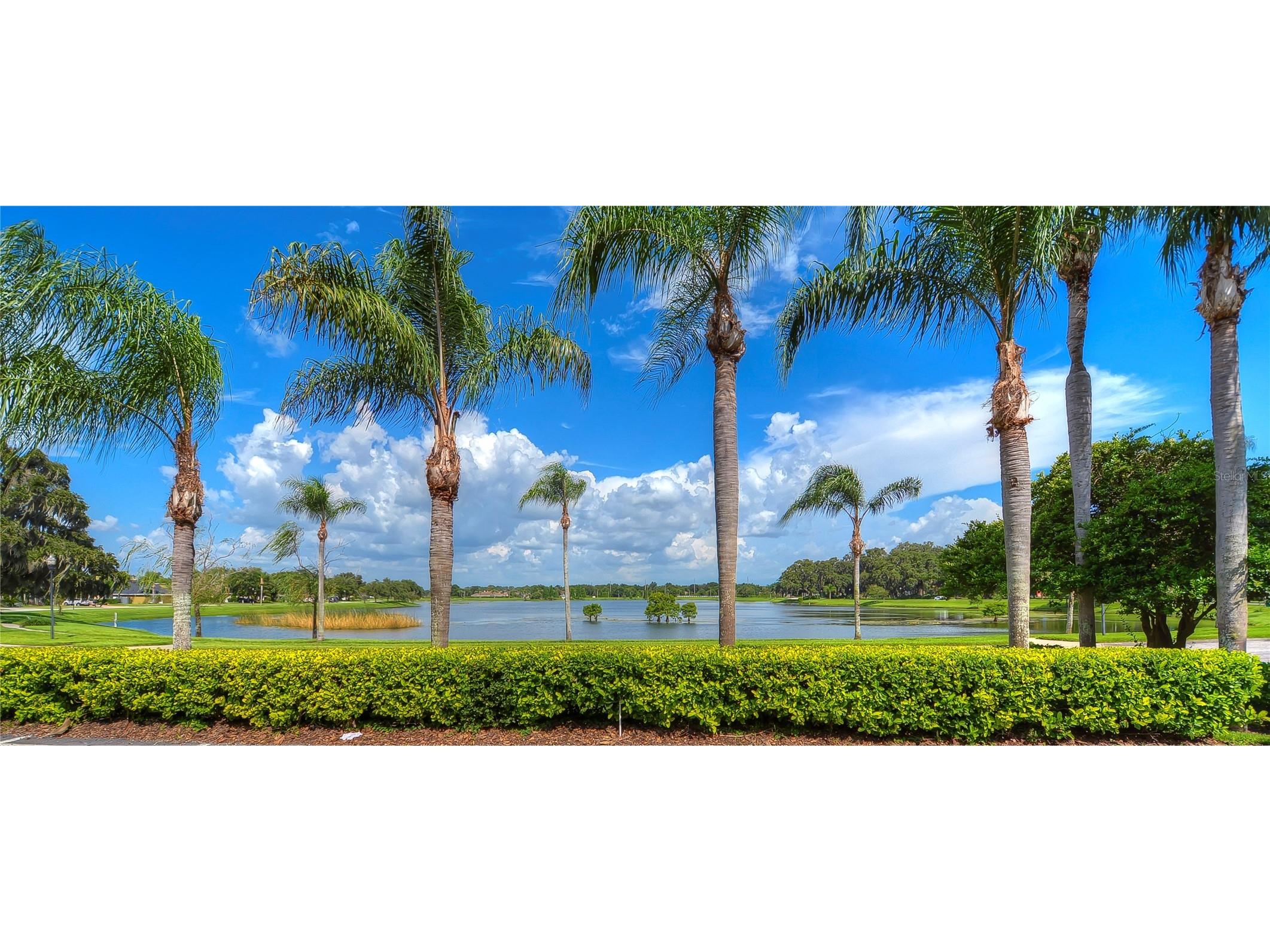 2963 Hickory Grove Drive Valrico FL 33596 TB8483751 image33