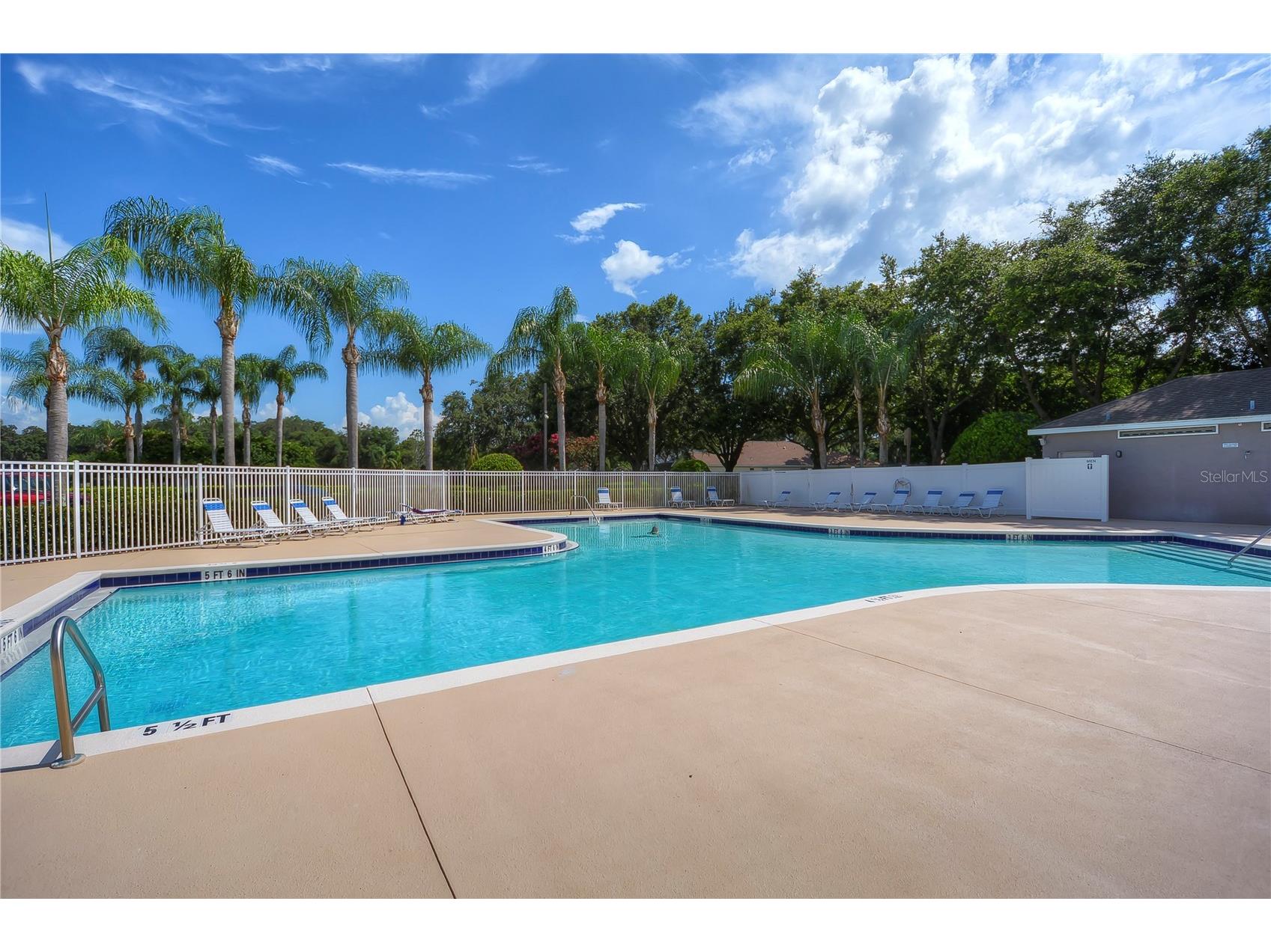 2963 Hickory Grove Drive Valrico FL 33596 TB8483751 image37