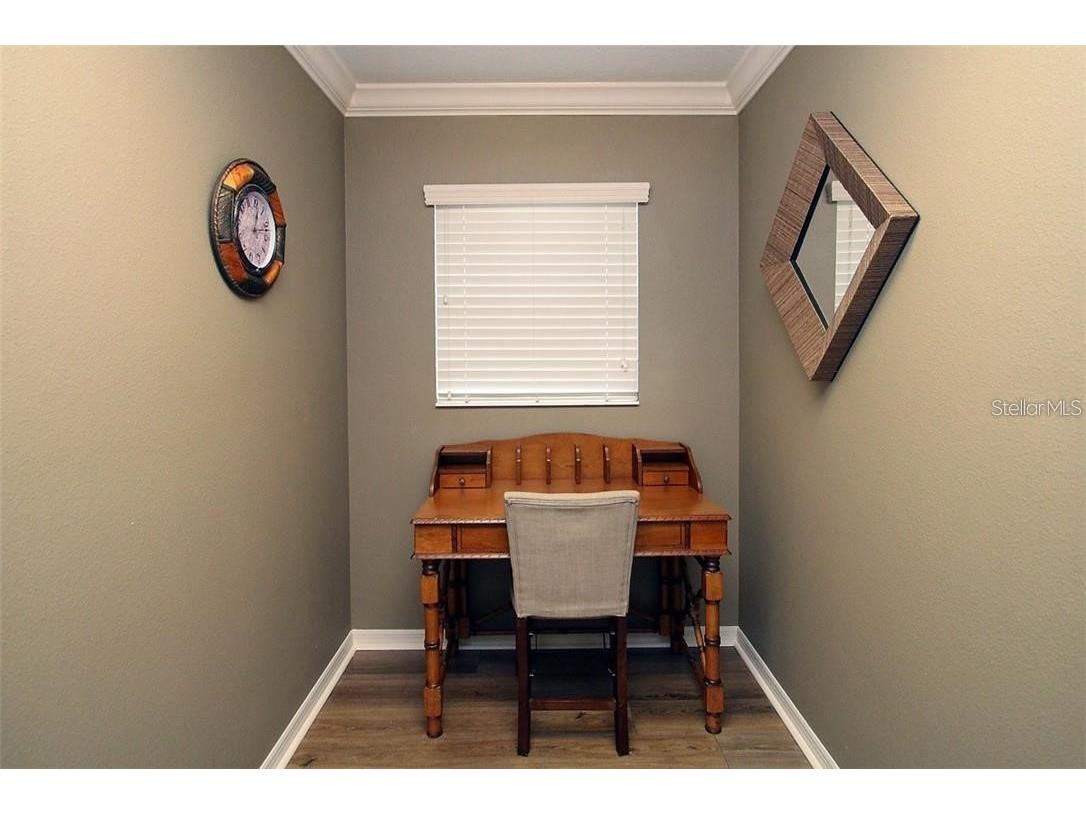 2963 Silk Tree Terrace The Villages FL 32163 G5104475 image25