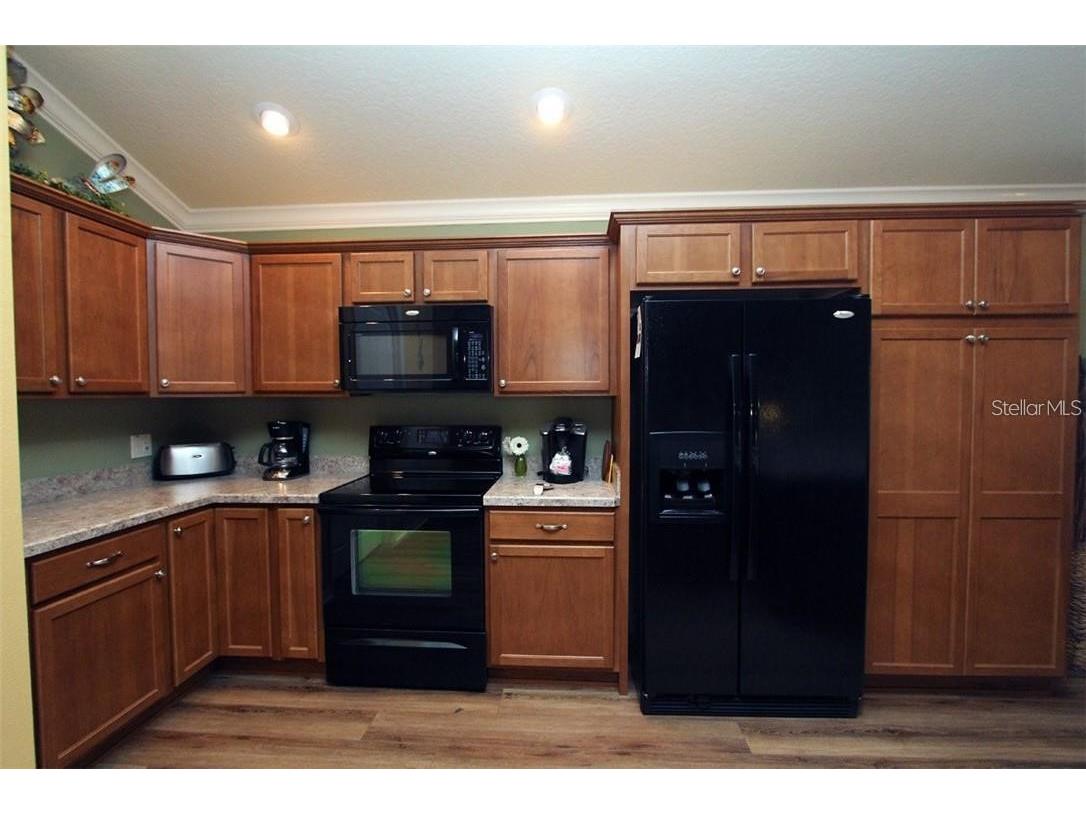 2963 Silk Tree Terrace The Villages FL 32163 G5104475 image9